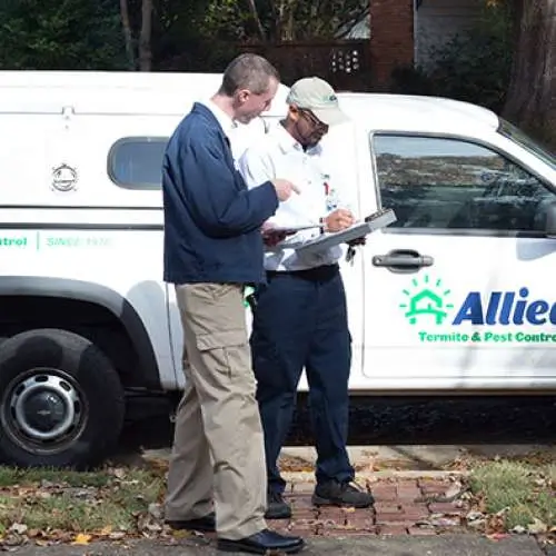 Expert pest control services by Allied Termite & Pest Control in Cordova and Somerville TN