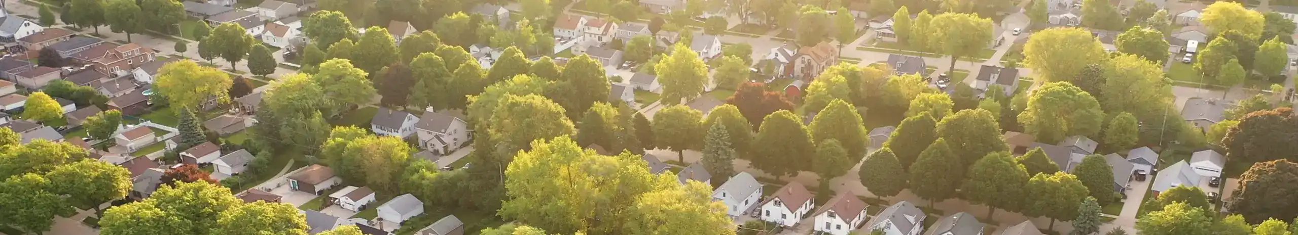 Overview of a residential neighborhood - Keep pests away from your home with Allied Termite and Pest Control in TN