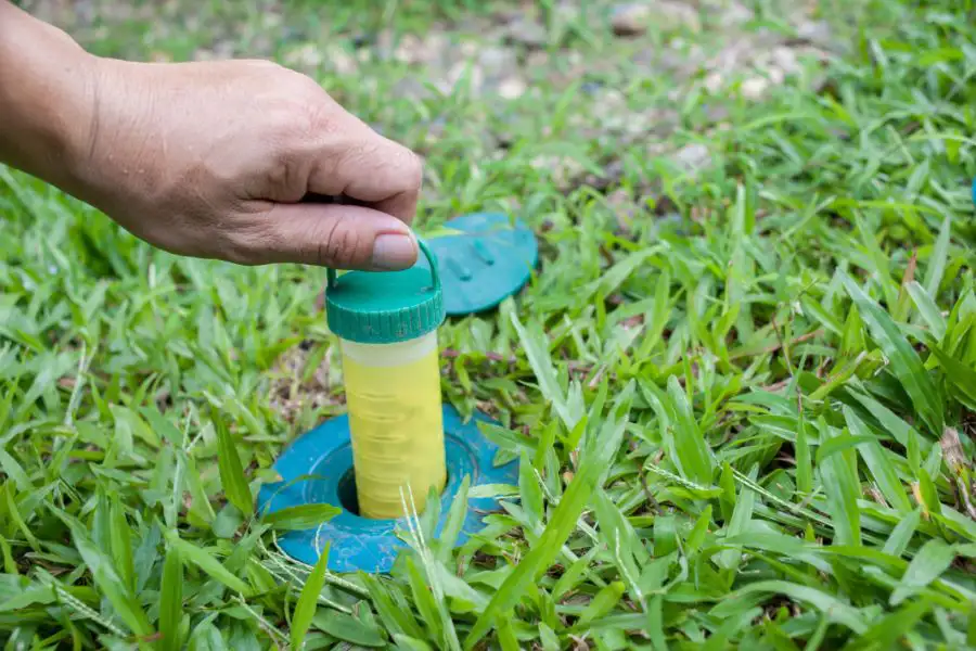 How to get rid of termites in Cordova, TN |  Allied Termite & Pest Control