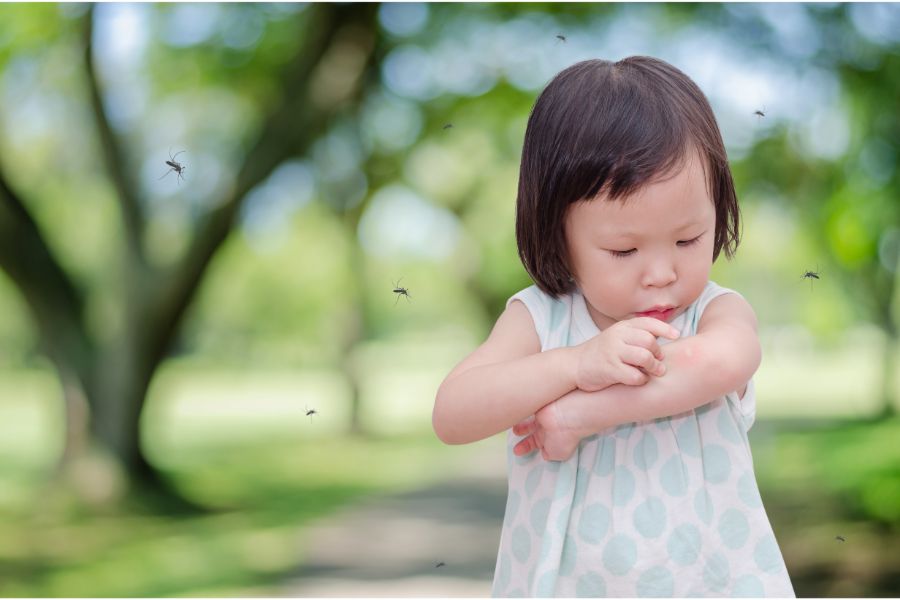 How to prevent mosquito bites in Cordova, TN |  Allied Termite & Pest Control