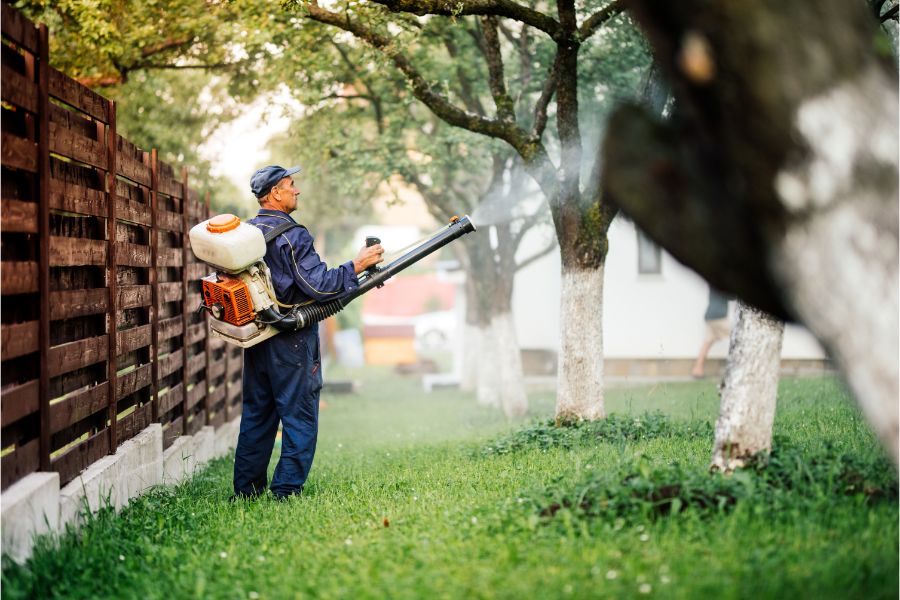 How to prevent mosquitoes in your yard in Cordova, TN | Allied Termite & Pest Control