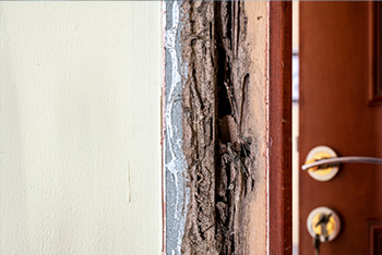 signs of termite damage by Allied Termite & Pest Control in the Memphis TN Metro area.